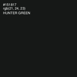 #151817 - Hunter Green Color Image